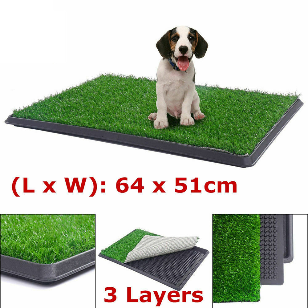 Dog training grass sale mat