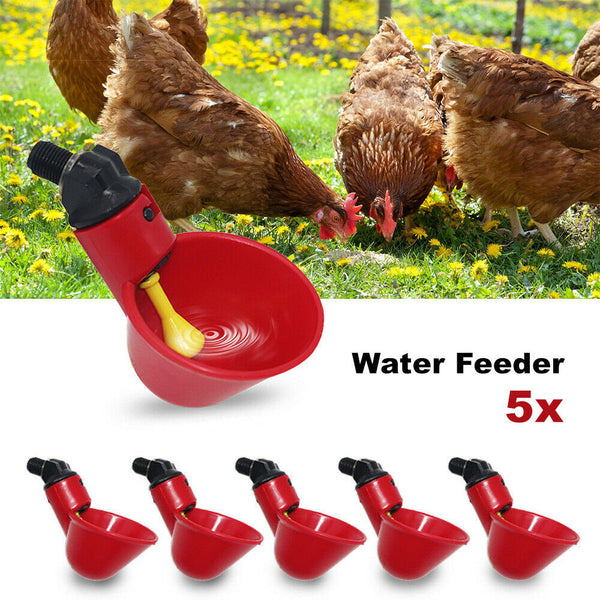 Automatic Cups Water Feeder Drinker Chicken Waterer Poultry Chook Bird - salelink.co.nz