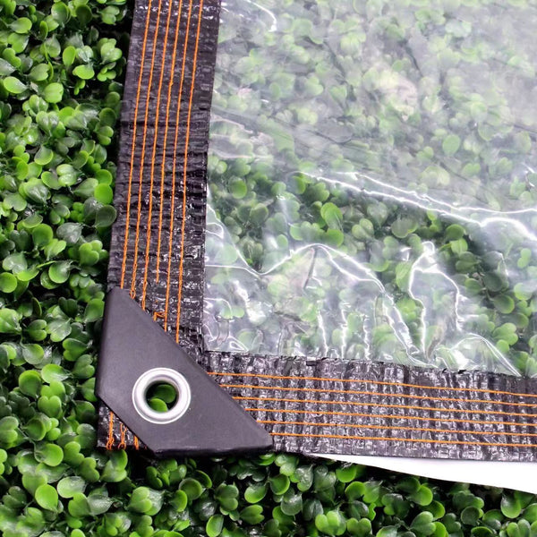 Clear Tarpaulin 2MX3M