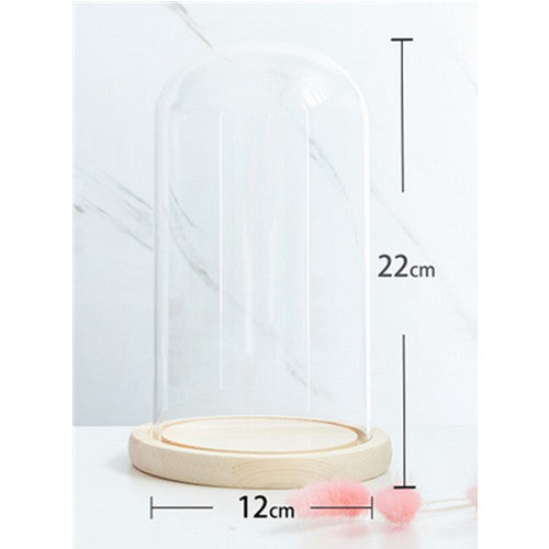 12x22cm Clear Glass Dome Shade Cover Case With Wood Base Board