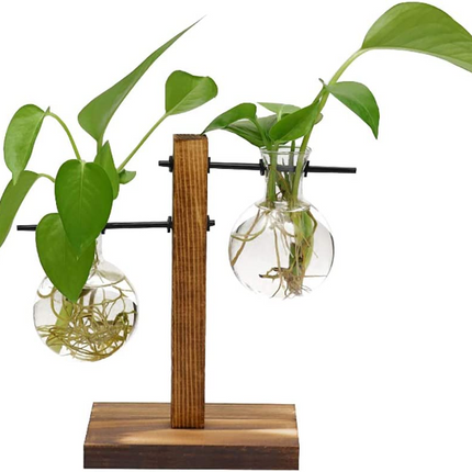 Hydroponic Vase Wooden Stand Glass Bulb Plants Container