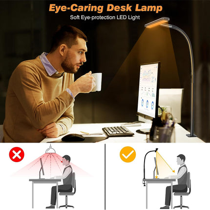 LED Desk Lamp