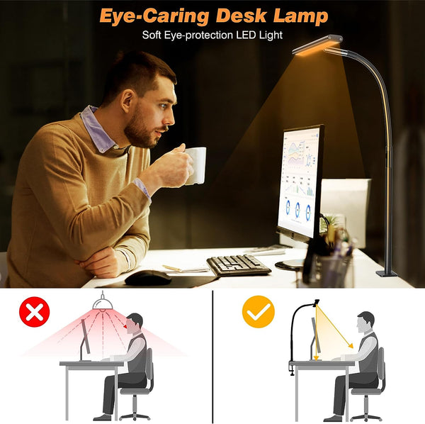 LED Desk Lamp