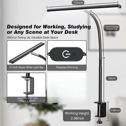 LED Desk Lamp