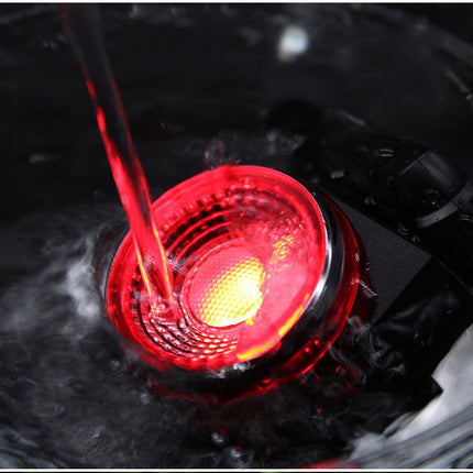 Bike Anti-theft Alarm And Rear Light