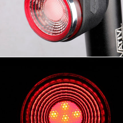Bike Anti-theft Alarm And Rear Light