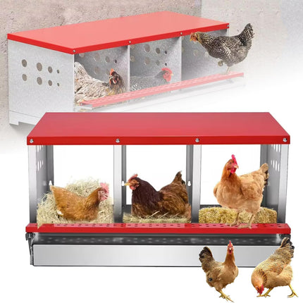 Chicken Nesting Box with 3 Holes
