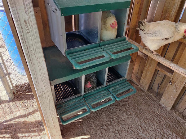 Chicken Nesting Box