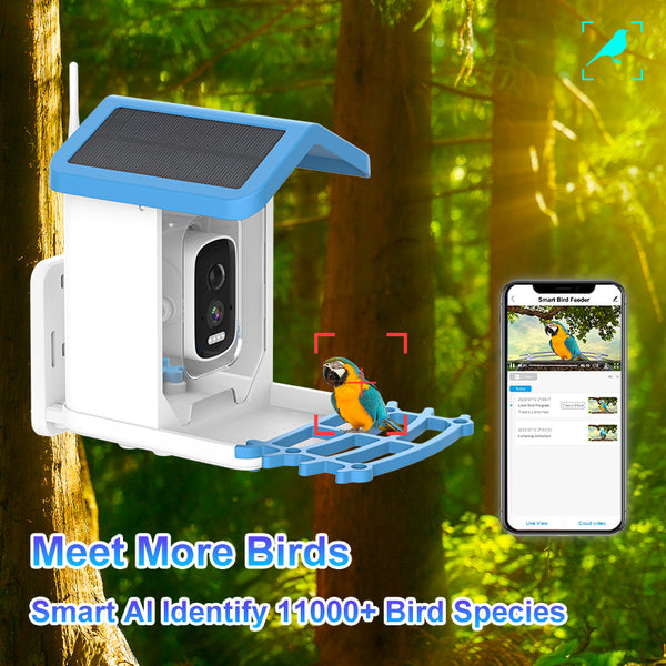 Solar Smart Bird Feeder Camera