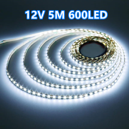 2835 12V 5M LED Strip Light Cool White 600LED - salelink.co.nz
