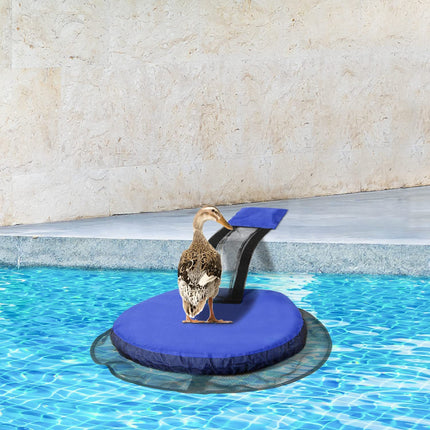 Animal Saving Escape Ramp