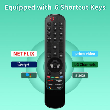 Voice Magic Remote Control for LG (D-22GA)