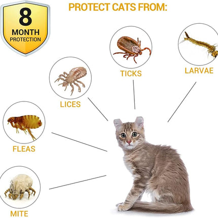 Flea and Tick Collar for Cats Size 38cm - salelink.co.nz