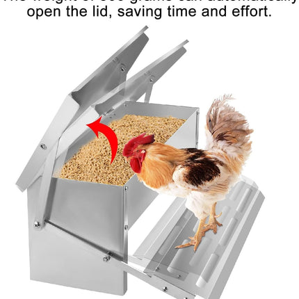 Automatic Chicken Feeder