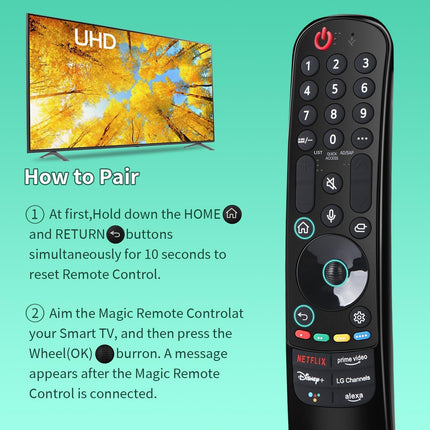 Voice Magic Remote Control for LG (D-22GA)