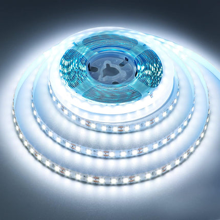 2835 24V 10M LED Strip Light Cool White 1200LED
