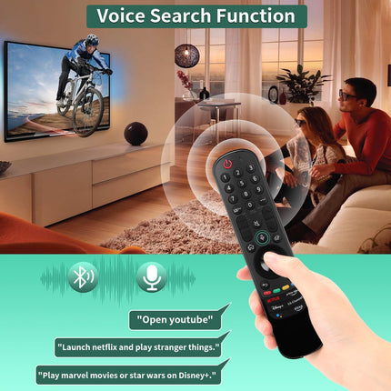 Voice Magic Remote Control for LG (D-22GA)