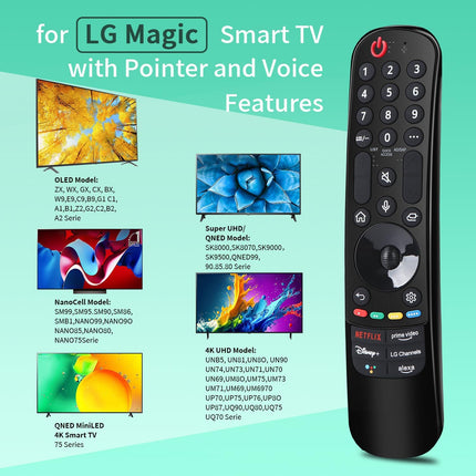 Voice Magic Remote Control for LG (D-22GA)