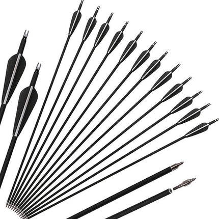Carbon Arrows 12pcs - salelink.co.nz