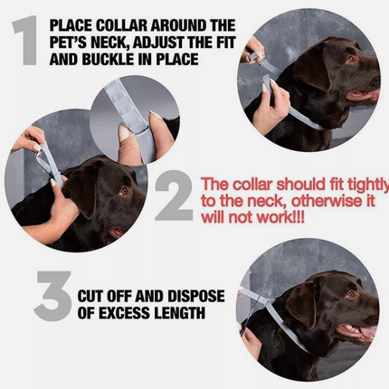 Flea and Tick Collar for Dogs Size 63.5cm - salelink.co.nz