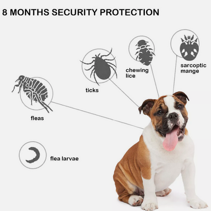 Flea and Tick Collar for Dogs Size 63.5cm - salelink.co.nz