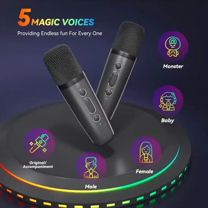 Bluetooth Singing Speaker Karaoke Player with 2 Wireless Microphones - salelink.co.nz