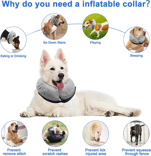 Dog Protective Inflatable Cone Pet Recovery Collar XL Size