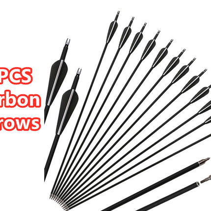 Carbon Arrows 12pcs - salelink.co.nz