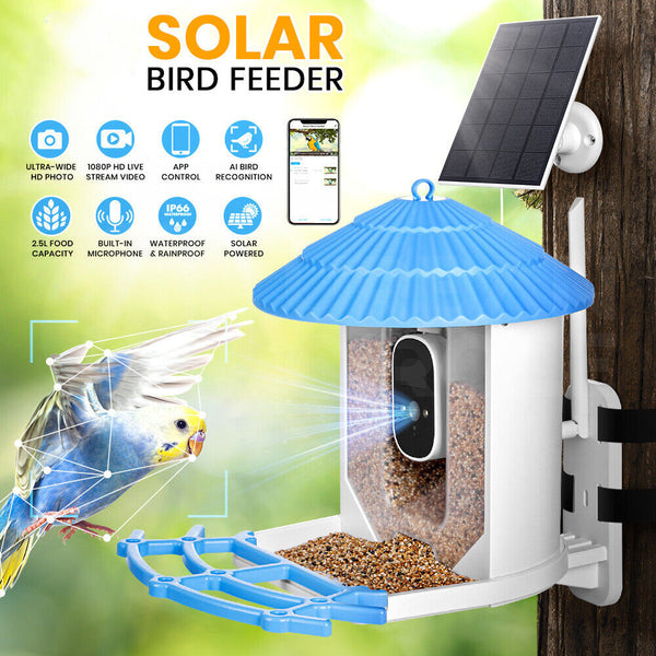 Solar Smart Bird Feeder with Camera Bird Watching