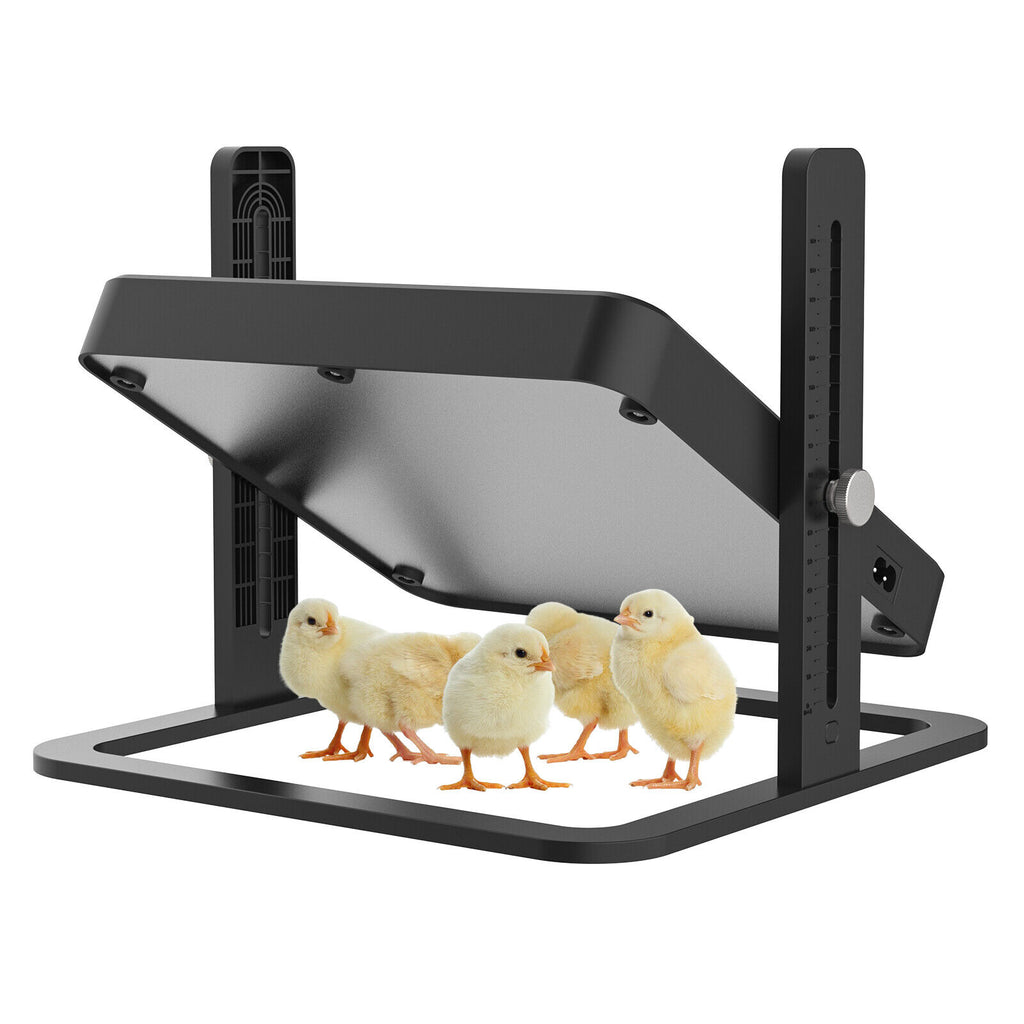 Chick Brooder Heating Plate Warmer, Chicken Coop Heater