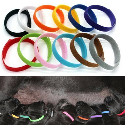 12 Colours Pet Whelping ID Collar Bands - salelink.co.nz