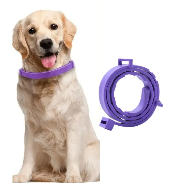 Purple Flea Collar for Dogs - 63.5cm