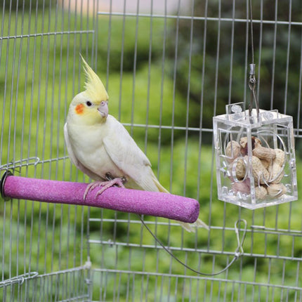 Bird Parrot Feeder - salelink.co.nz