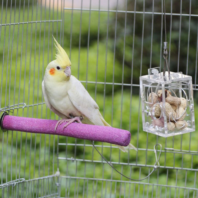 Bird Parrot Feeder - salelink.co.nz