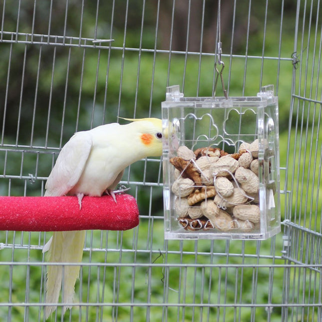 Birds Toys Food Parrot Foraging Feeder Cage
