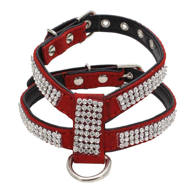 Dog Collar - M