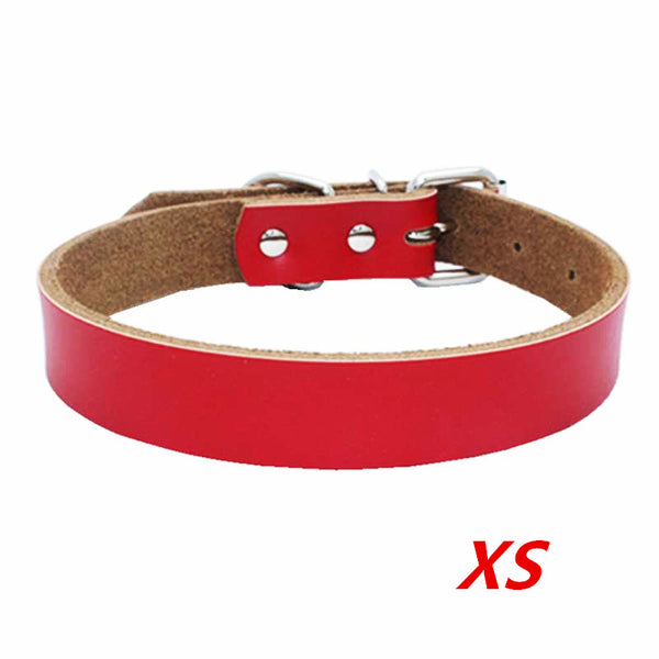Dog Collar - XS