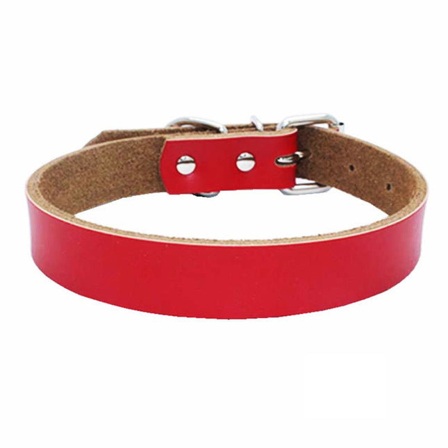 Dog Collar - XS