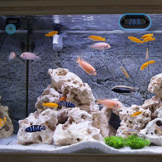 Digital Aquarium Thermometer