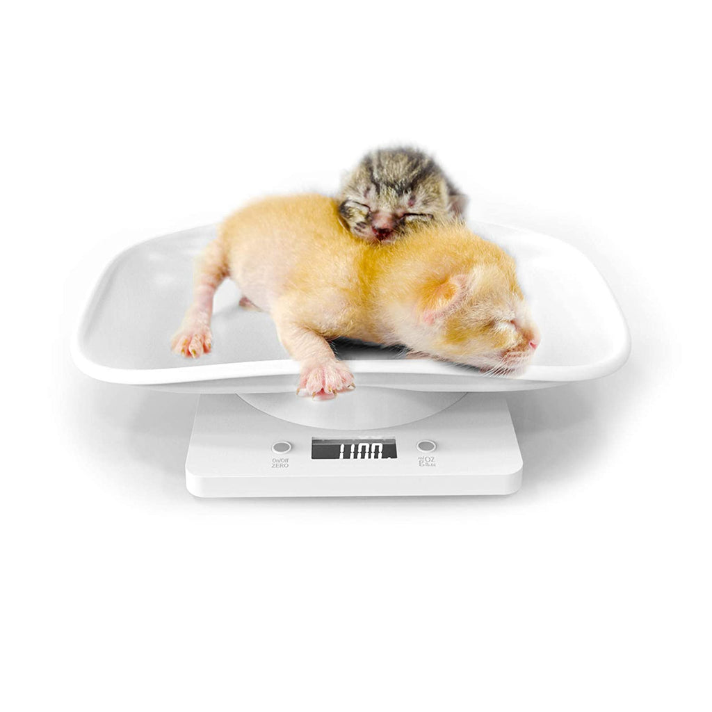 10kg Digital Pet Scales–