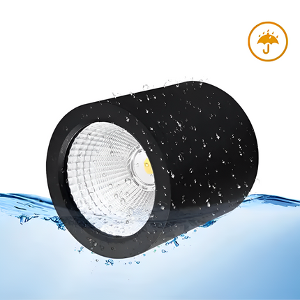20W Downlight