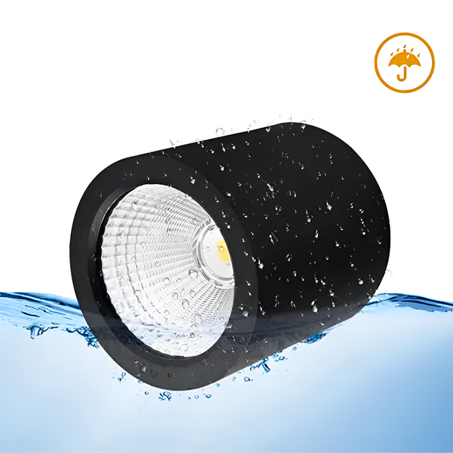 20W Downlight