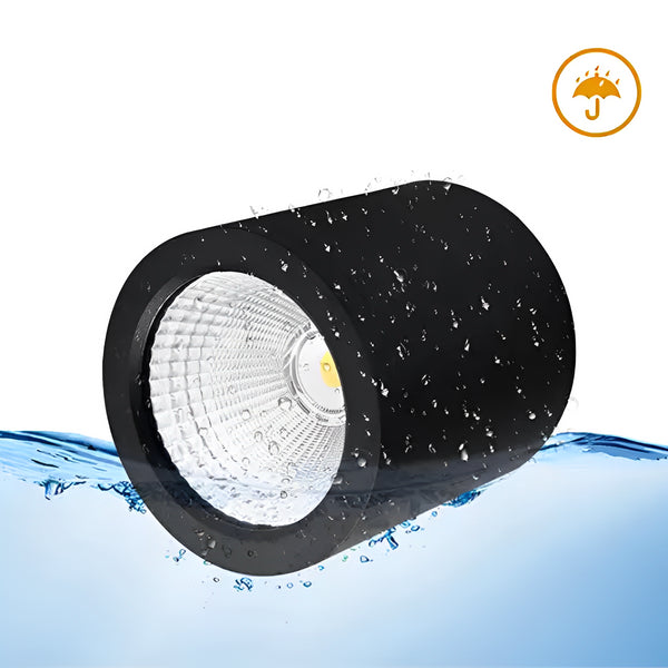 20W Downlight