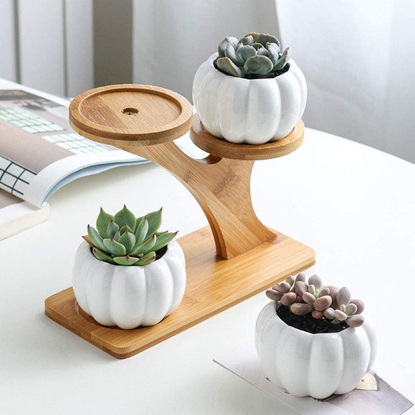 Pumpkin Shape Ceramic Succulent Plant Flower Pot Planter Holder Bamboo Shelf