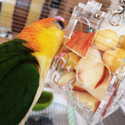 Bird Parrot Feeder - salelink.co.nz