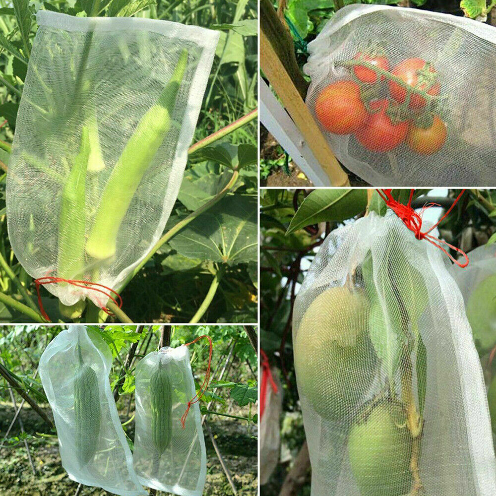 100pcs 45x30cm Agriculture Garden Fruit Vegetable Protection
