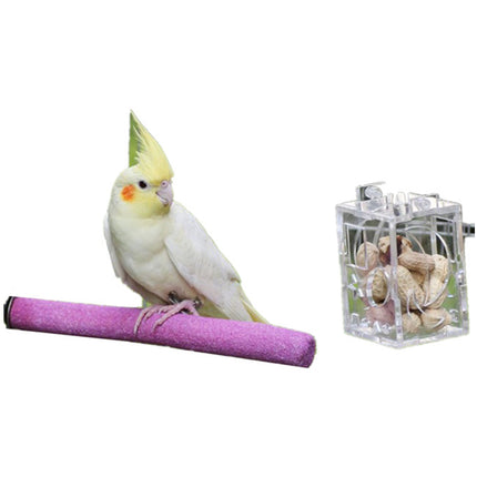 Bird Parrot Feeder - salelink.co.nz