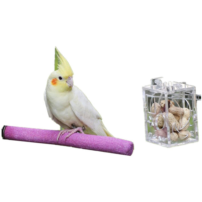 Bird Parrot Feeder - salelink.co.nz