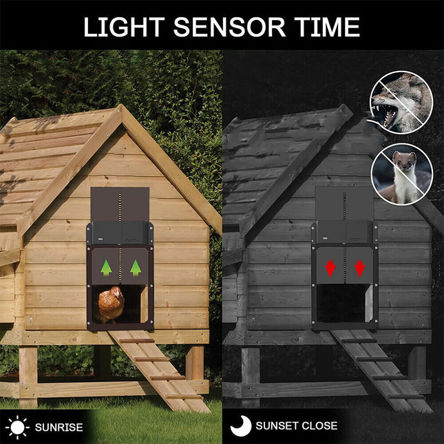 Automatic Chicken Coop Door Opener - salelink.co.nz